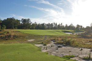 Tree Farm 16th